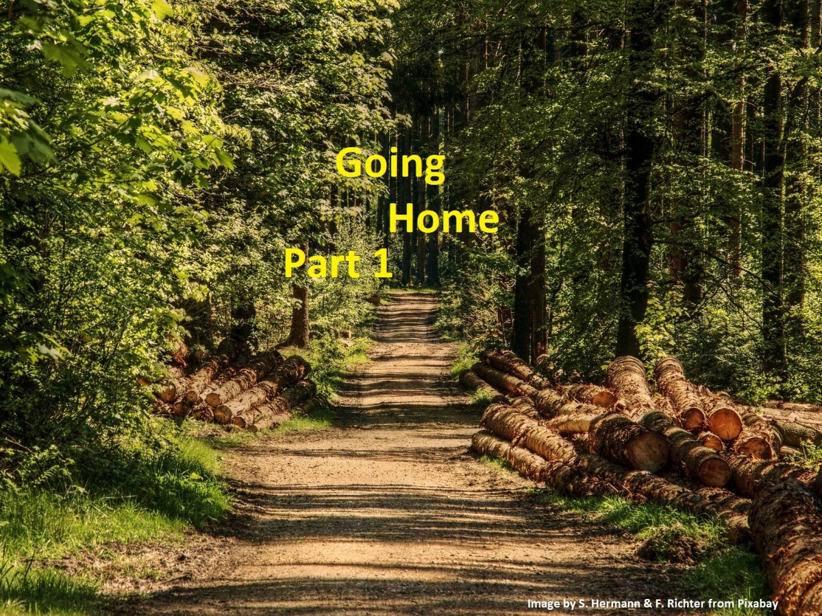 Going Home: Part 1/2